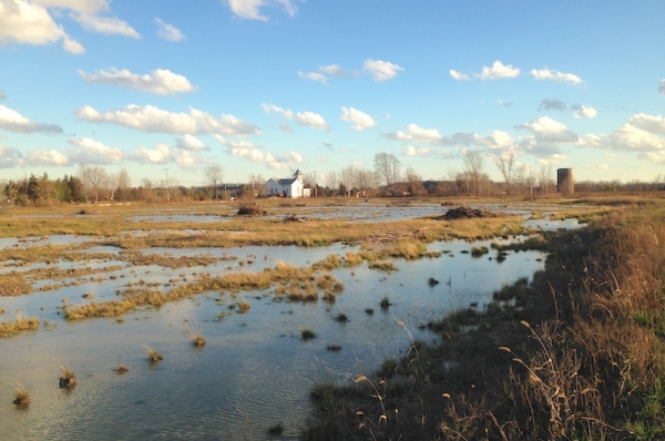 Wetland Mitigation Projects, Watershed Mitigation Banks, Wetlands
