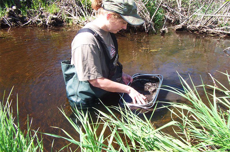 Natural Resource Consulting, Wetland Managment Consultant, Mitigation